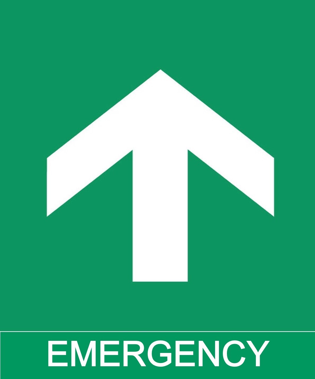 13 Emergency Exit Signages - Eloquens