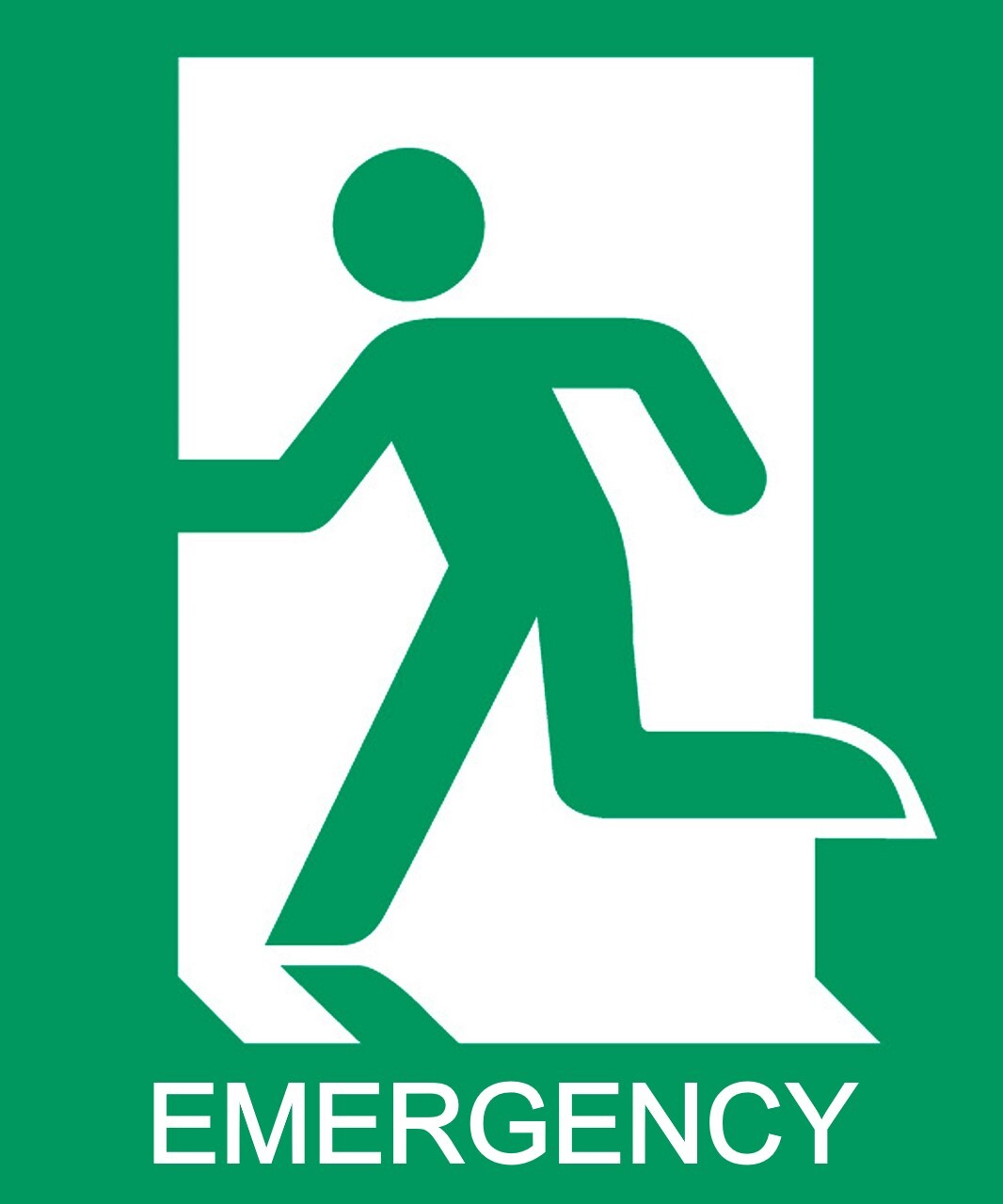 13 Emergency Exit Signages - Eloquens