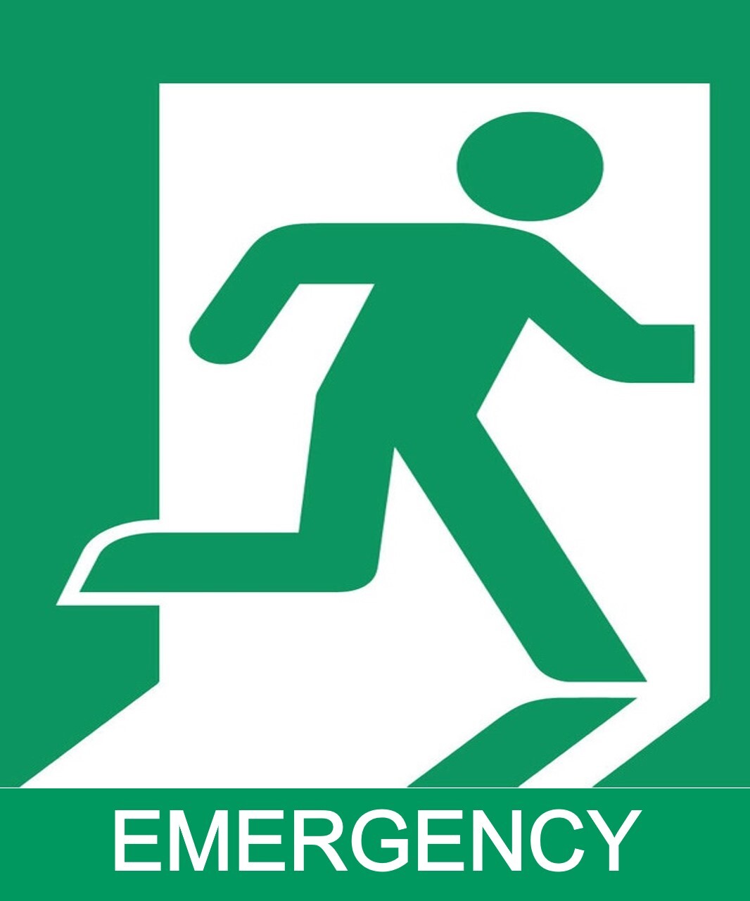 13 Emergency Exit Signages - Eloquens